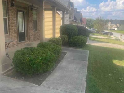 Lawn Care service in Burbank, 91502