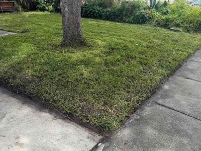 Lawn Care service in Burbank, 91502