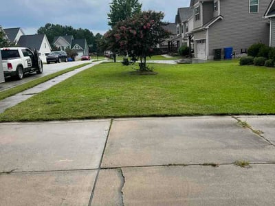 Lawn Care service in Ocean Isle Beach, 28469
