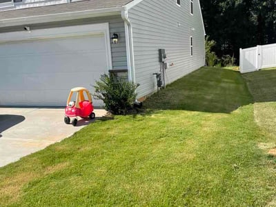 Lawn Care service in Greenville, 29601