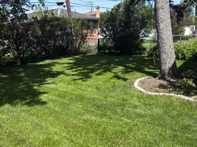 Lawn Care service in Westchester, 60154