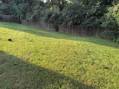 Lawn Care service in Stanley, 28164