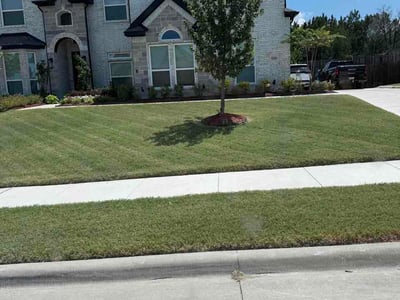 Lawn Care service in Aubrey, 76227
