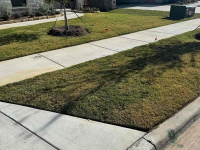 Lawn Care service in Aubrey, 76227