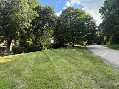 Lawn Care service in North Kingstown, 02852