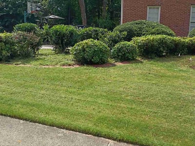Lawn Care service in Ontario, 91762