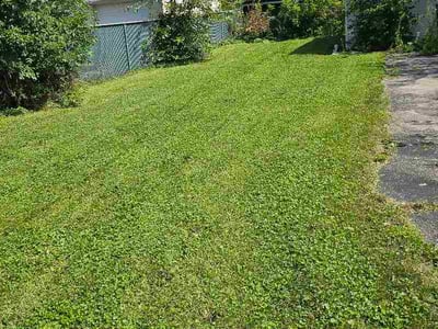 Lawn Care service in West Bend, 53095