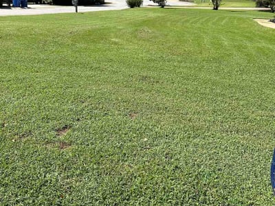 Lawn Care service in Pelzer, 29669