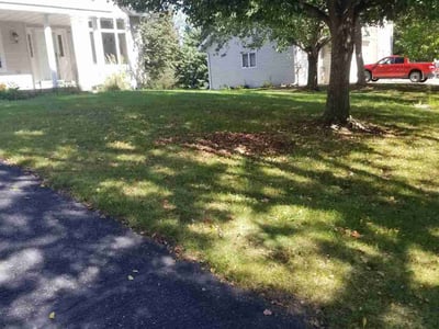 Lawn Care service in Saint Cloud, 56301