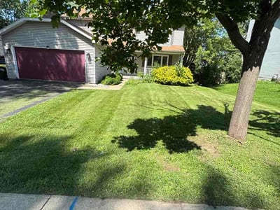 Lawn Care service in Country Club Hills, 60478