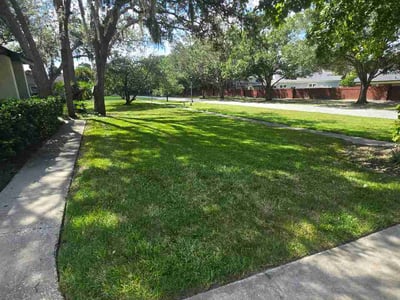 Lawn Care service in Coventry, 02816