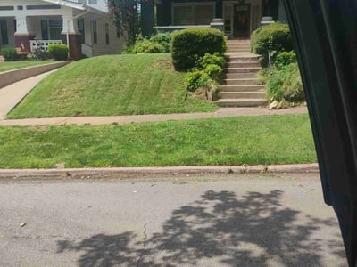 Lawn Care service in East Wenatchee, 98802