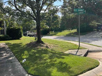 Lawn Care service in Longs, 29568