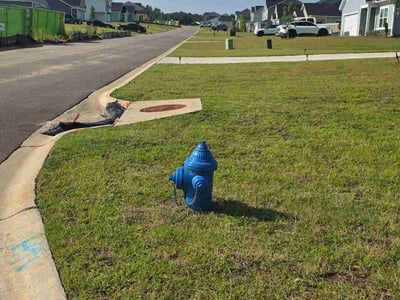 Lawn Care service in Lugoff, 29078