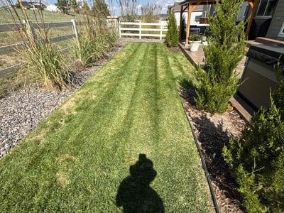 Lawn Care service in California City, 93505