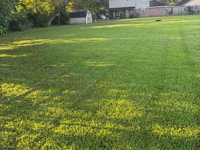 Lawn Care service in Sherman, 75090
