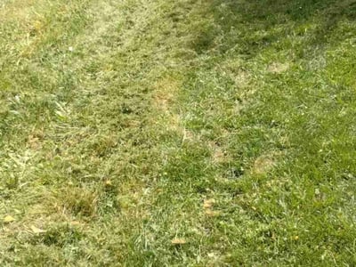 Lawn Care service in Lancaster, 93534
