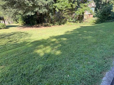 Lawn Care service in Princeton, 24740