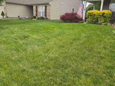 Lawn Care service in Coraopolis, 15108