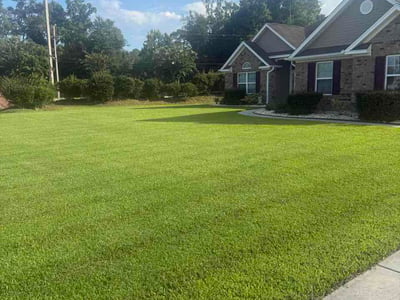Lawn Care service in Conway, 29526