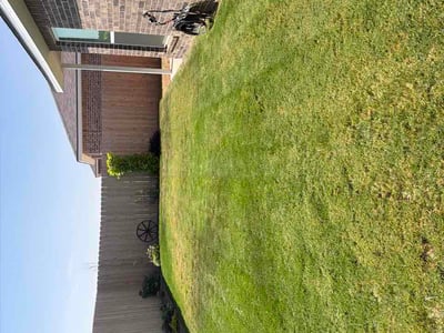 Lawn Care service in Midland, 79701