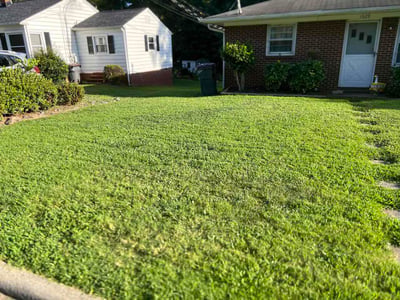 Lawn Care service in Reidsville, 27320