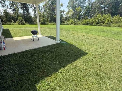 Lawn Care service in Spring Hill, 37174