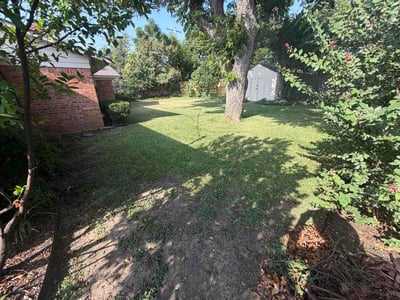 Lawn Care service in Edinburg, 78539