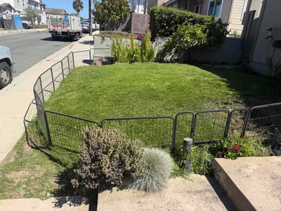 Lawn Care service in Arcadia, 91007