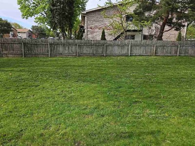 Lawn Care service in Carol Stream, 60188