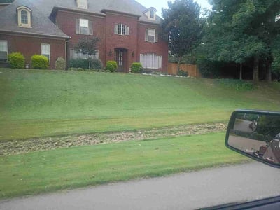 Lawn Care service in Senatobia, 38668