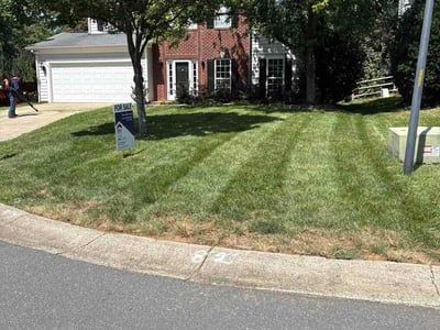 Lawn Care service in South Park, 28210