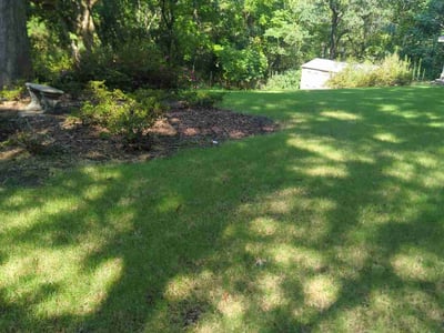 Lawn Care service in Rock Hill, 29730