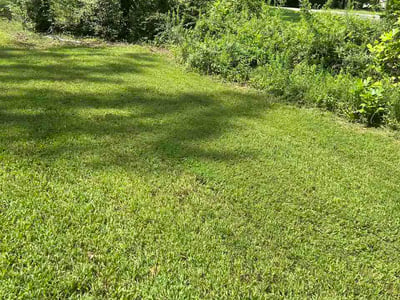 Lawn Care service in Rock Hill, 29730