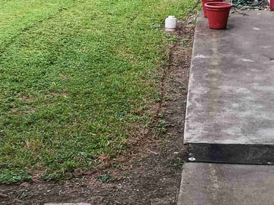 Lawn Care service in Downey, 90241