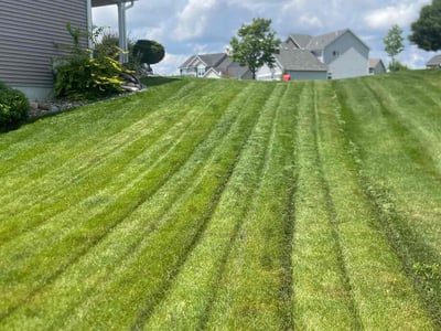 Lawn Care service in Farmington, 55024