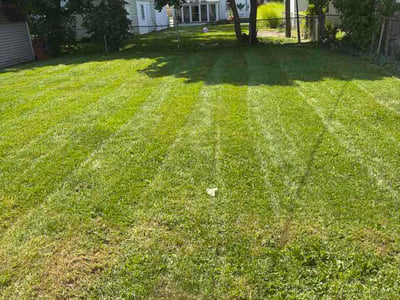 Lawn Care service in North Royalton, 44133