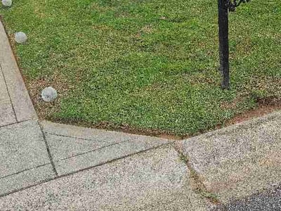 Lawn Care service in Statesville, 28677