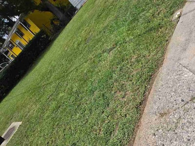 Lawn Care service in Big Bear Lake, 92315