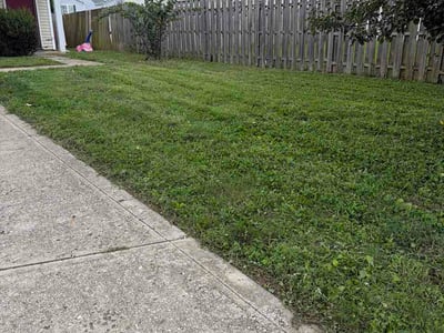 Lawn Care service in Cumberland, 46229