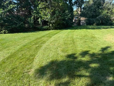 Lawn Care service in Idaho Falls, 83402