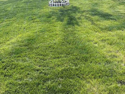 Lawn Care service in Lawrence, 46226