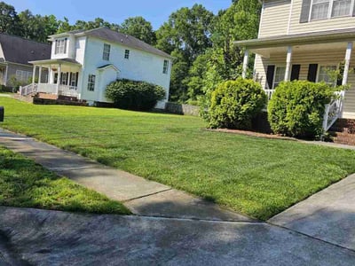 Lawn Care service in Randleman, 27317