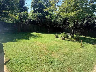 Lawn Care service in Randleman, 27317