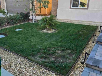 Lawn Care service in Beaumont, 92223