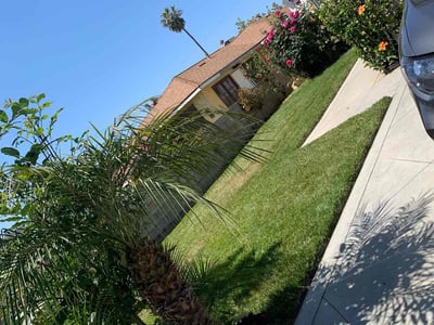 Lawn Care service in Beaumont, 92223