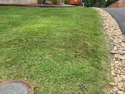 Lawn Care service in Candler, 28715