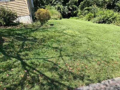 Lawn Care service in Candler, 28715
