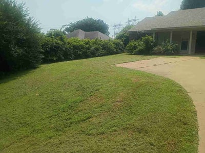 Lawn Care service in Southaven, 38671