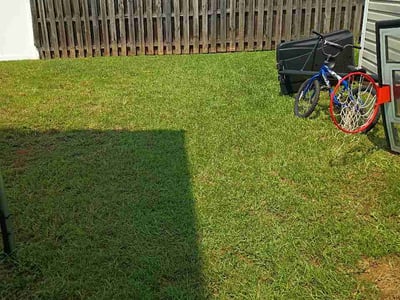 Lawn Care service in Glendale, 85301